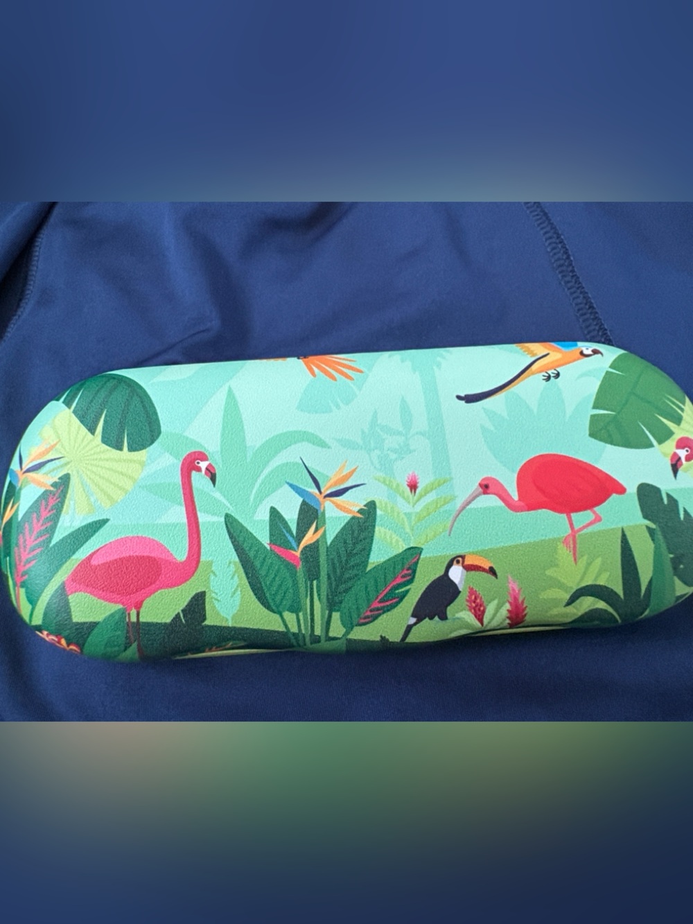 Eyeglass Case Tropical Flamingo Hard Eyeglass Case - Mint Green with Pink NWT
